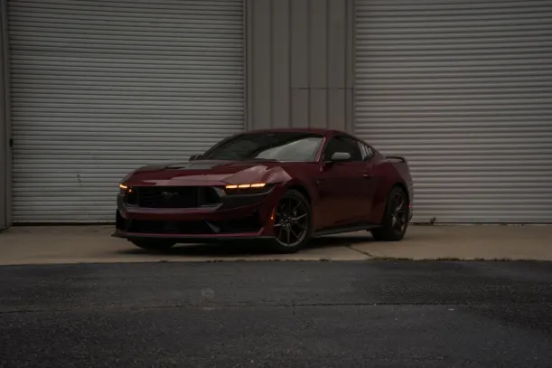 BlueLeo Casino Android/iOS App